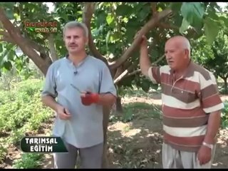 Göz aşısı çeşitleri