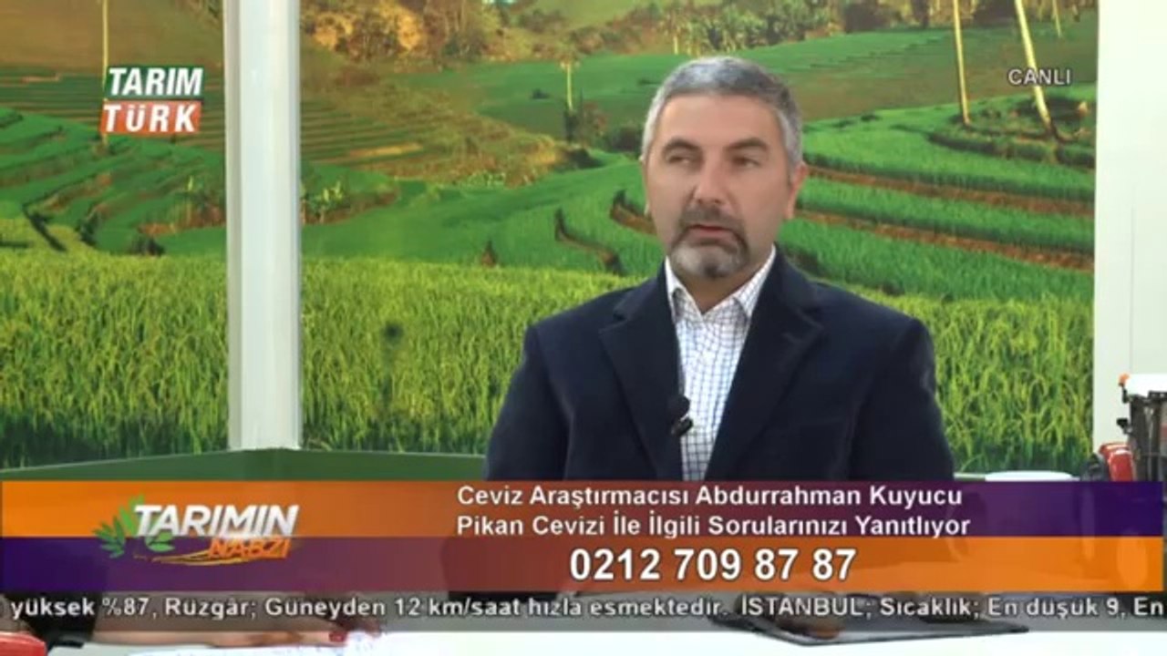 pikan cevizi -  (5)