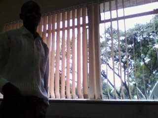 WINDOW BLINDS FOR OFFICE
