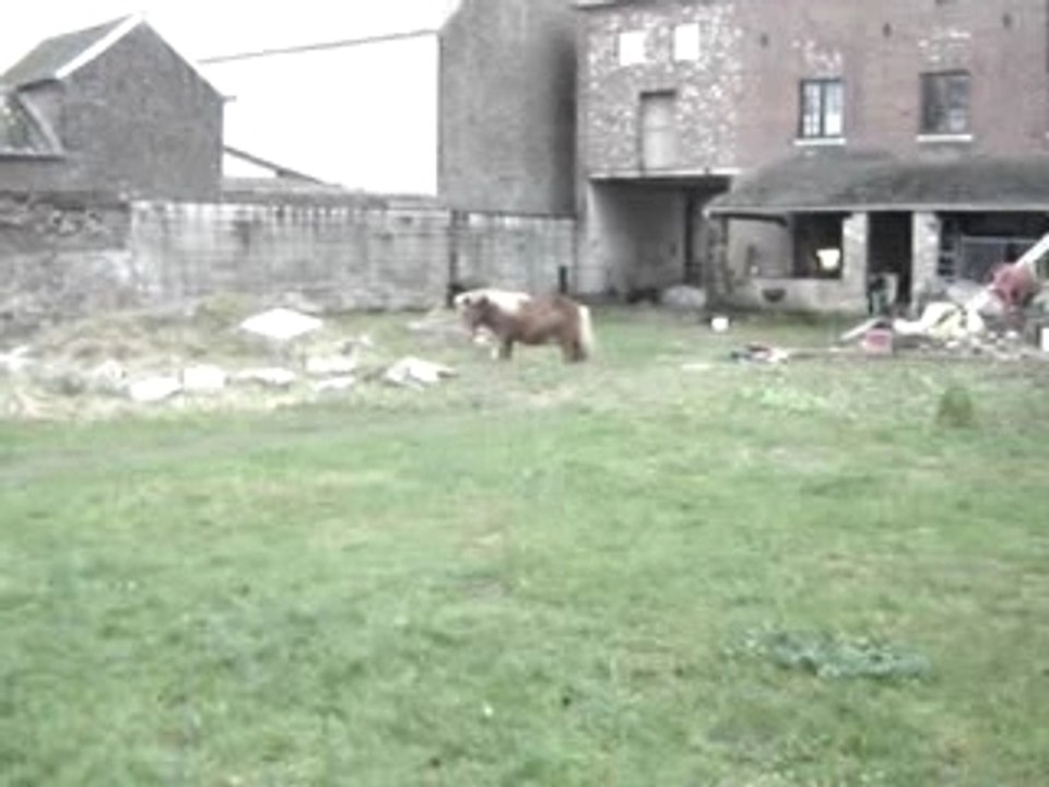 MOV03007