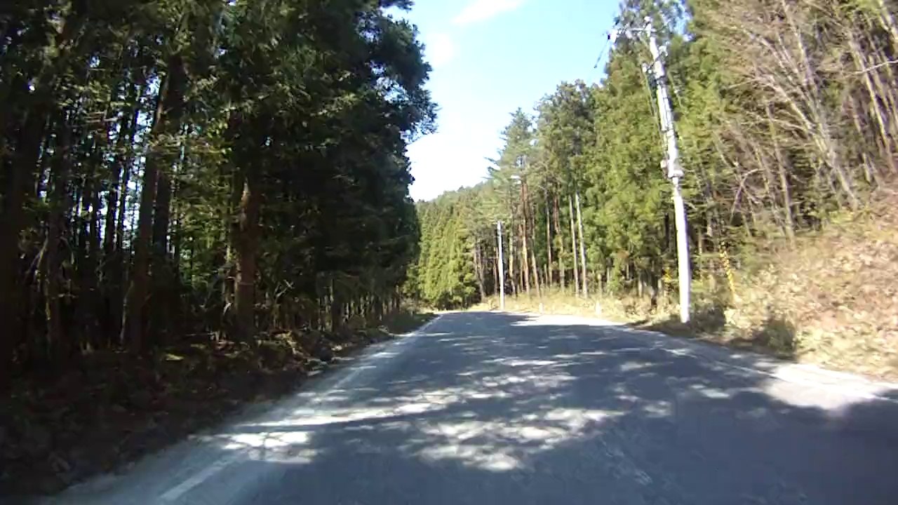 ファースト･チャイルド･キング （ＦＣＫ）⑪