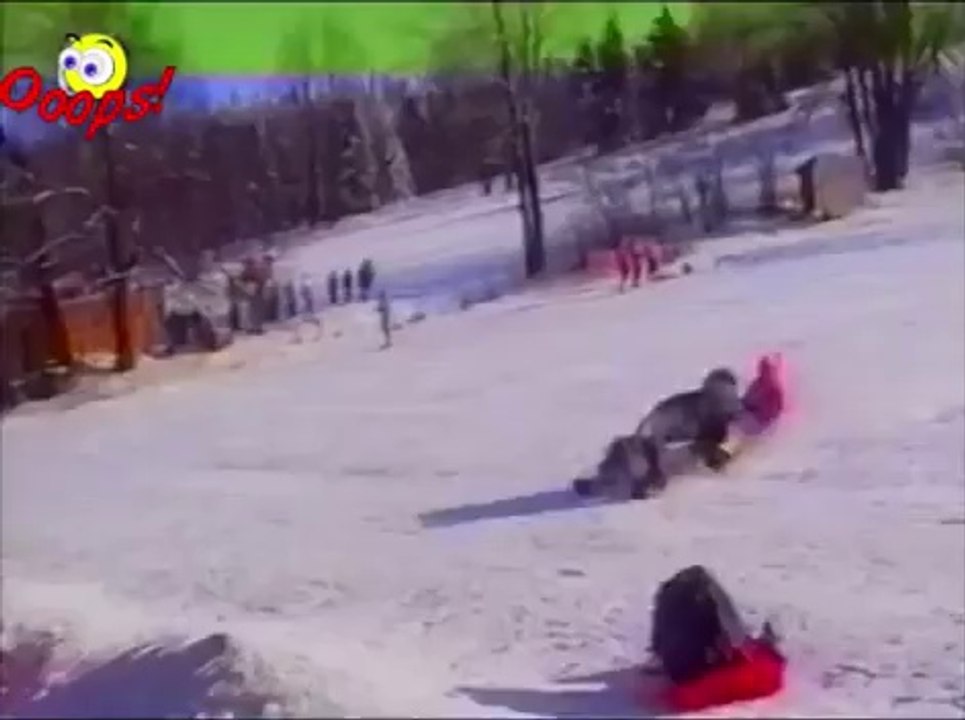 Ultimate Fail - Win Compilations 208