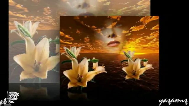 Yıldırım Gürses - Güller Ağlasın