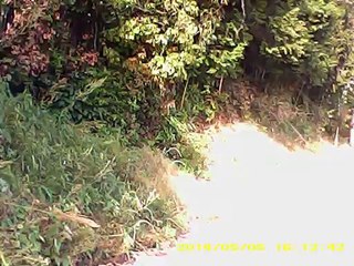 九州大学 伊都キャンパス