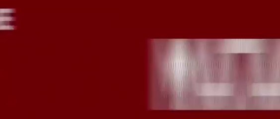 The Matador (2005) - French