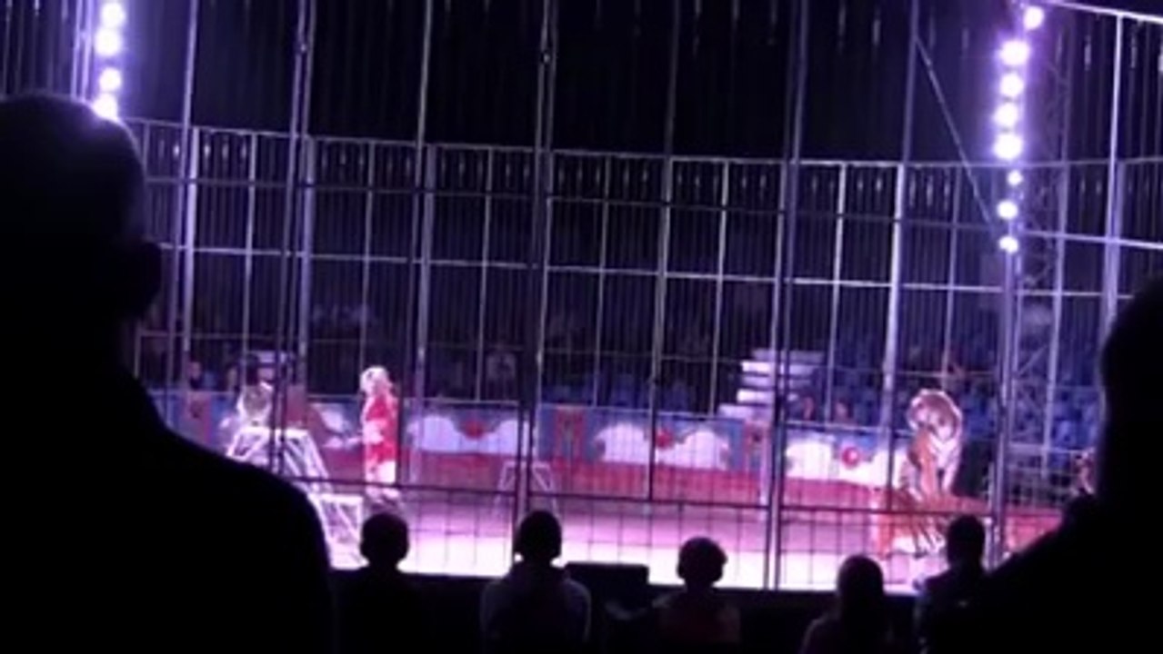 HERKES BUNU İZLEYİP PAYLAŞIYOR... HAYVAN HAYVAN OLALI BÖYLE ZULÜM GÖRMEDİ! PAYLAŞ...