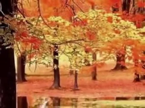 dini islami düğün nişan sünnet organizasyonu SON PİŞMANLIK- HİDAYET DOĞAN