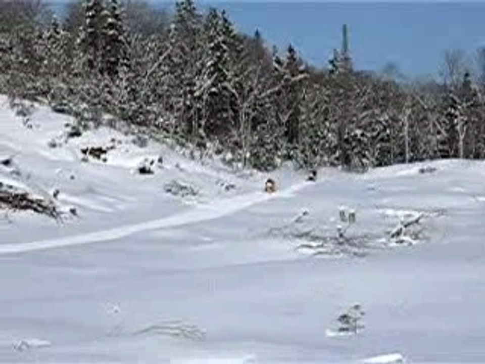 moto neige canada