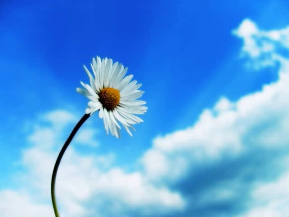 Yasin Süresi (Sesli Türkçe Meali ile birlikte)