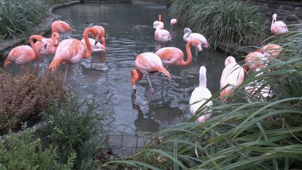 Allemagne: Leipzig zoo