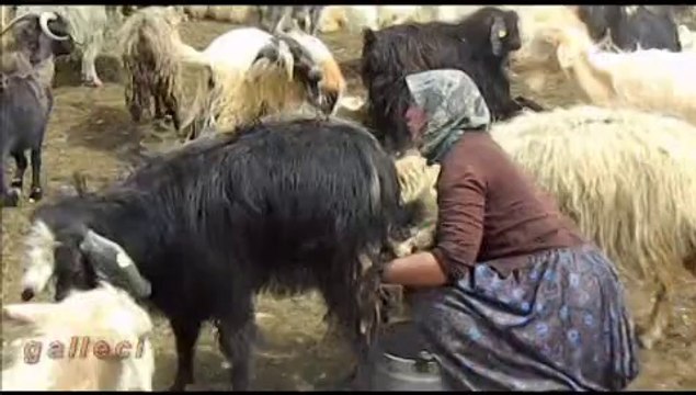 kızıllar agini köyü