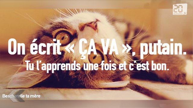Orthographe: Dites-le avec des chatons