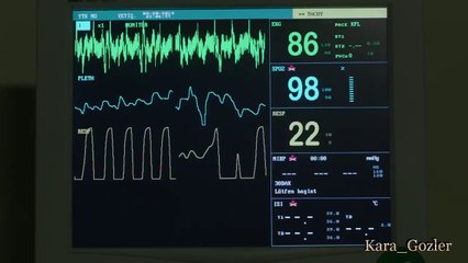 NilMet (Nilufer ve Metin, Kara Para Aşk)