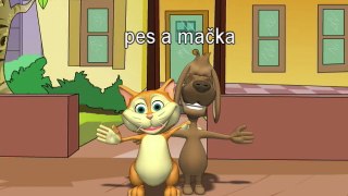 Slovak for kids - Slovak language learning for children - greetings & animals DVD & flash cards
