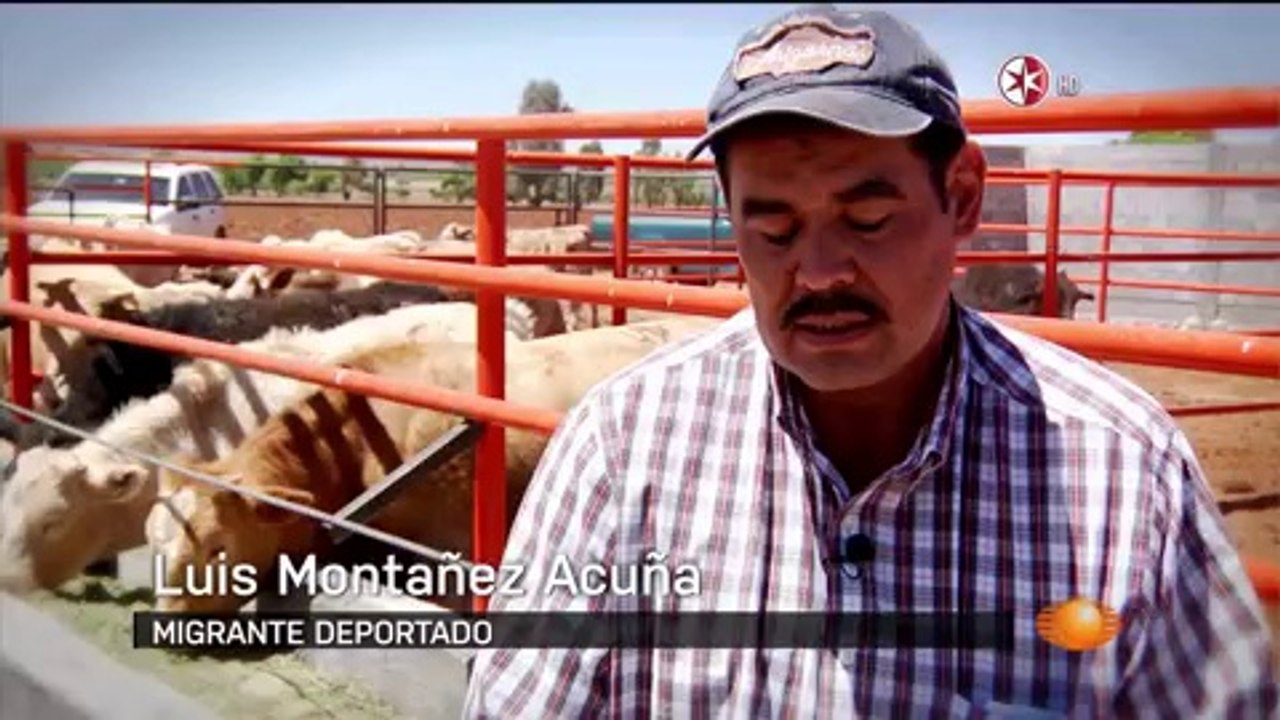 The Mexican Dream-PP