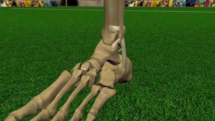 Lesões dos jogadõres: o entorse do tornozelo