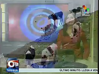 Colombia: piden al gobierno que evite más contaminación del Río Bogotá