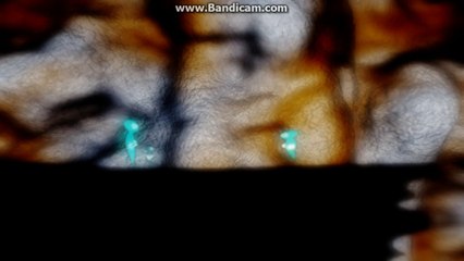 Wonderer The Game: AI Learning in Action 🎮