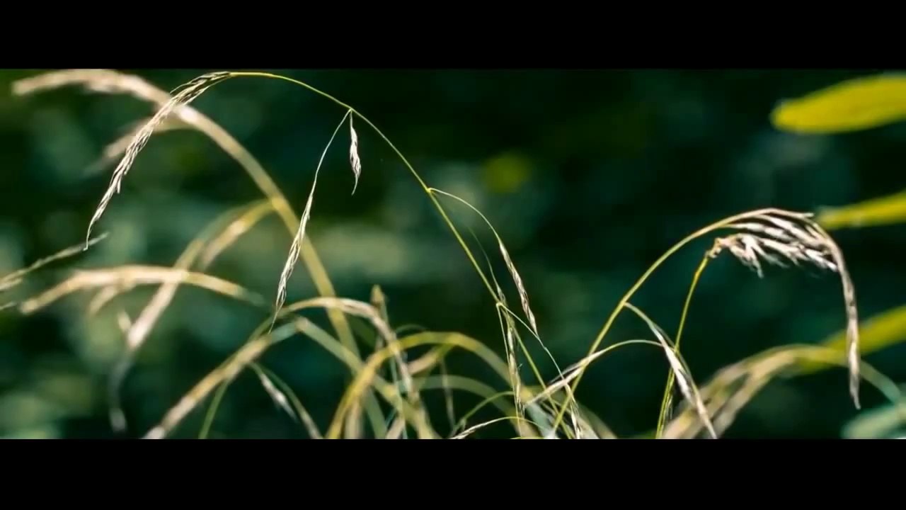 خالد الراشد - ذكر الموت حياة و نسيانه غفلة - أروع موعظة على اليوتيوب HD