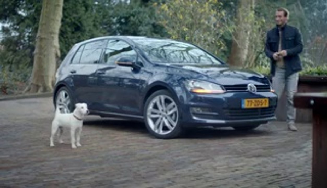 Kendini Araba Sanan Köpek