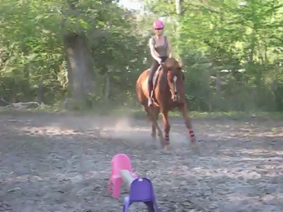 séance de travail valdes avril 2014 - trot de travail