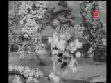 CHHAM CHHAM NAACHAT AAYI BAHAR - 1961