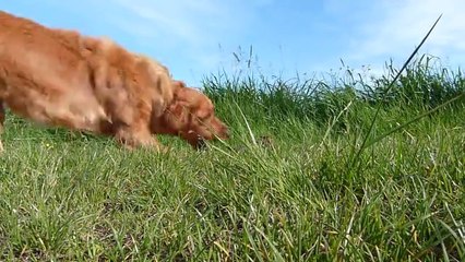 Zomarick Lady Ikio au rapport vol 1