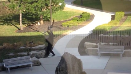 Parktan Geçtiğine Bin Pişman Oldu!