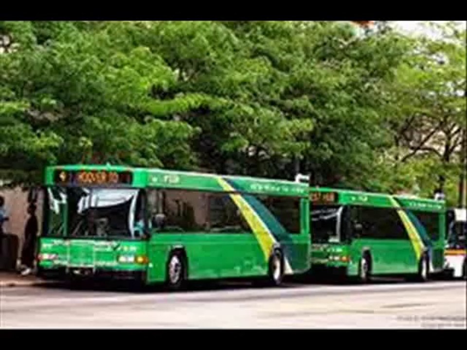 school buses and city buses effects