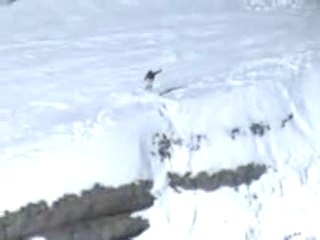 How To Scratch(candide thovex)