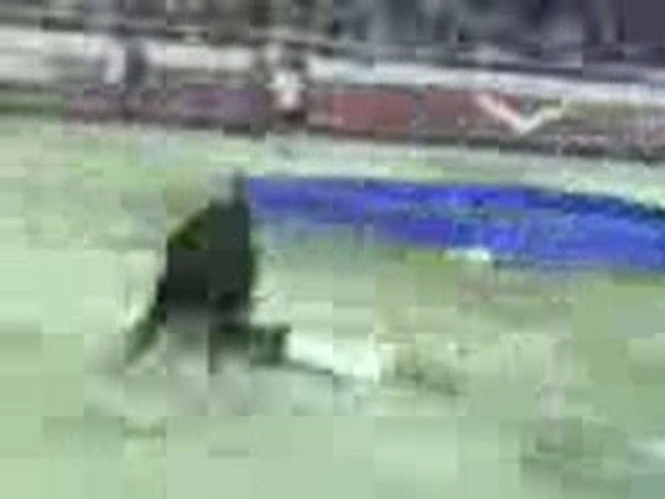 Moi vs toro