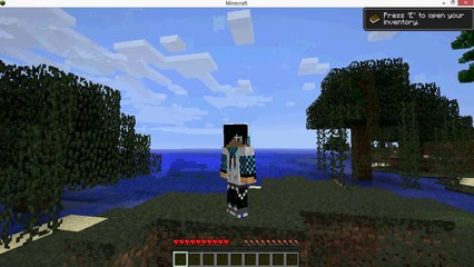 Minecraft-Skin Yapımı (Kolay Yol)