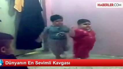 Dünyanın En Sevimli Kavgası