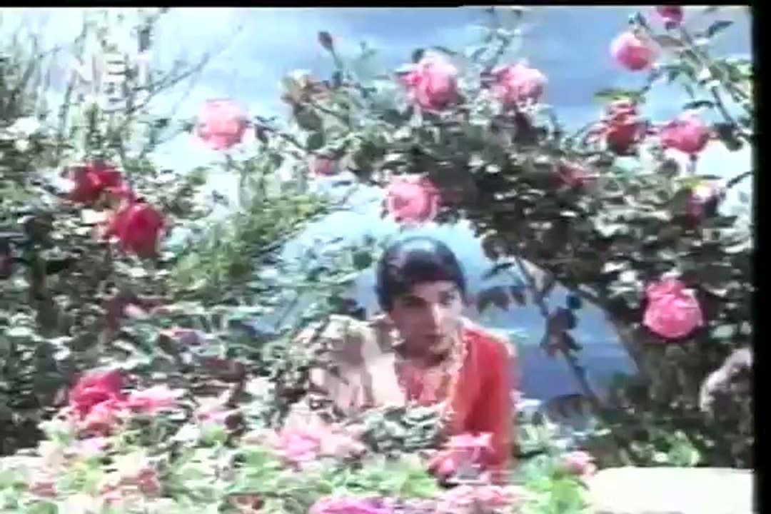 MAIN TERE PYAR MEIN KYA KYA NA BANA DILBAR - 1964