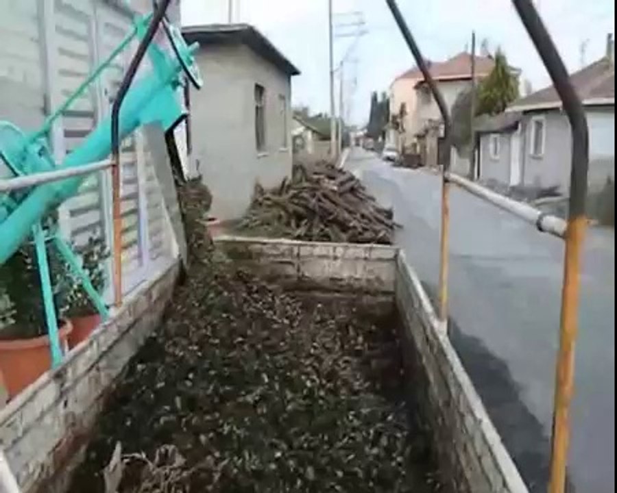 Ceviz soyma makinası2