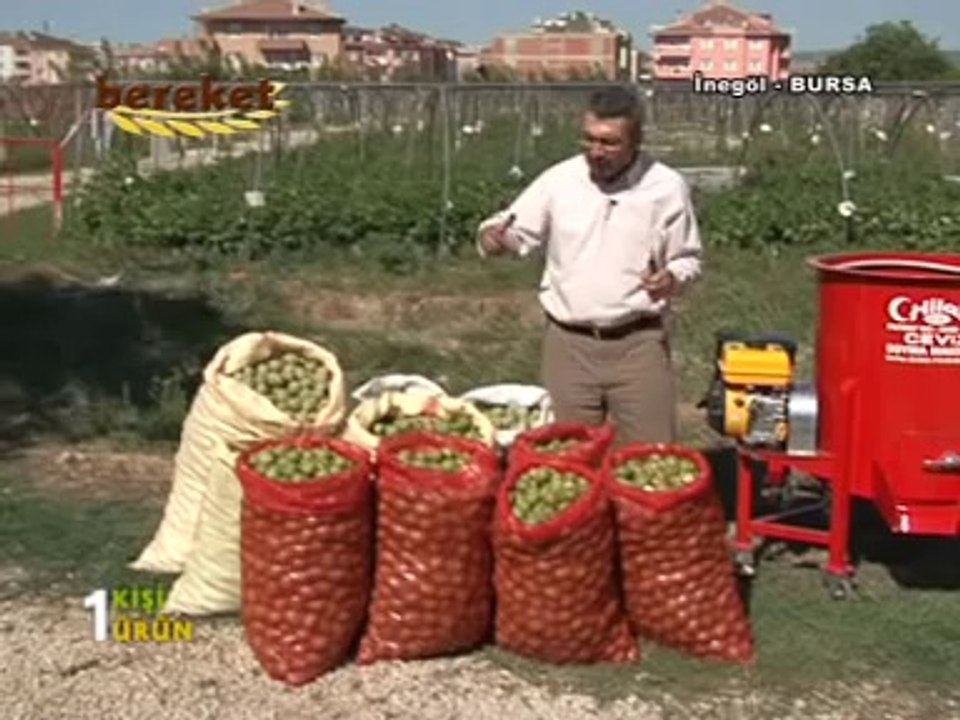 Hilal Ceviz Soyma Makina sı Tanıtım
