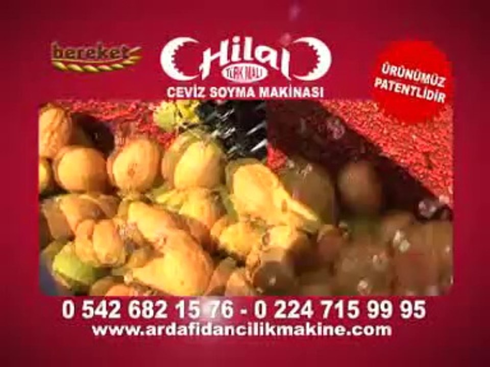 hilal ceviz soyma makinesi 2