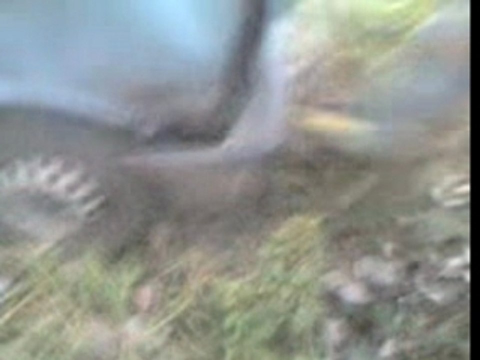 Video-0029