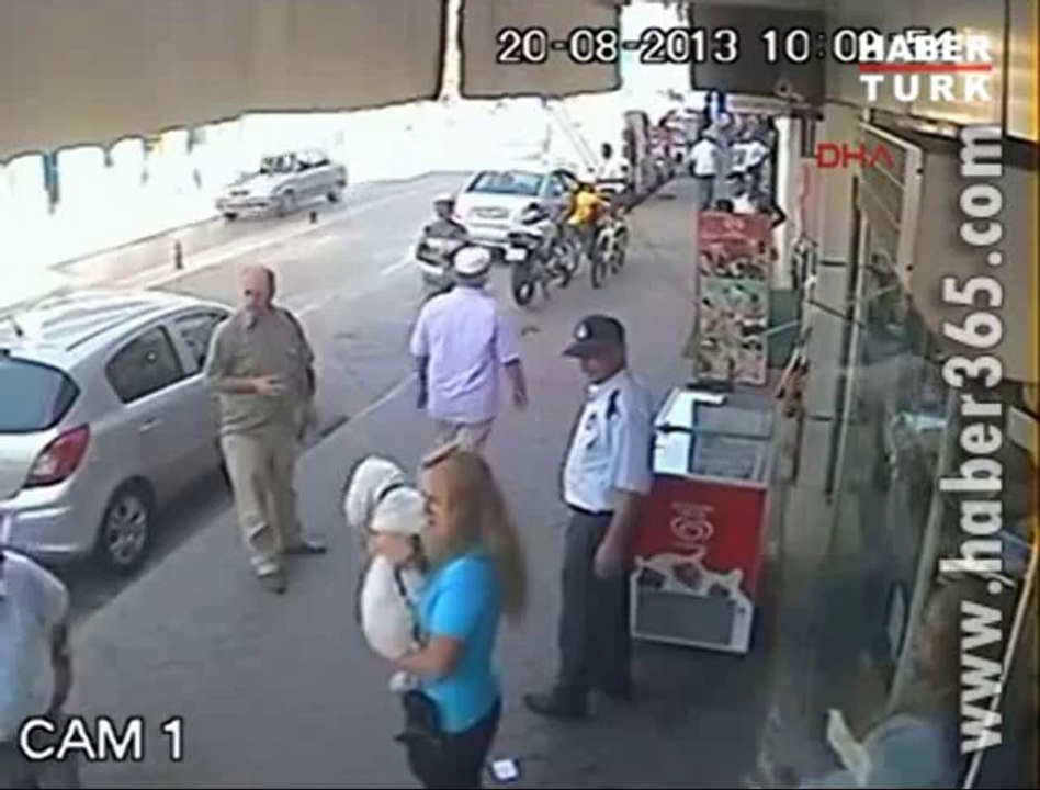 kediden köpeğe ilginç tepki