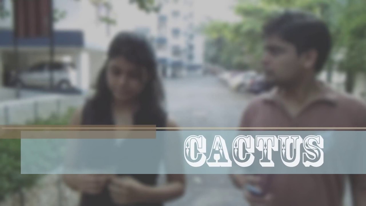 Cactus - Official Trailer