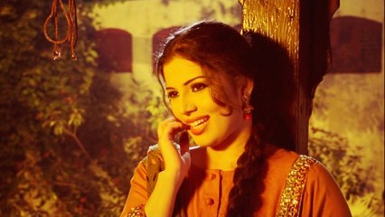 Hina Nasarullah - Dil Deya Mehrma We (Heer Ranhja) - Official Video