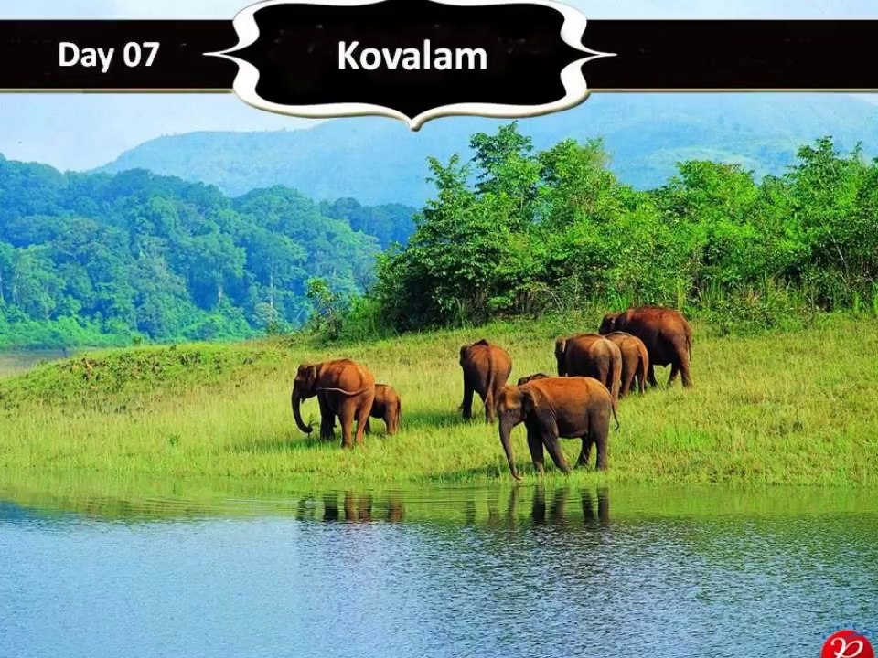 Luxury Kerala Honeymoon Packages - Paras Holidays