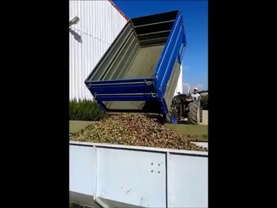 Cevizlerin Traktörlerle Tesise Taşınması