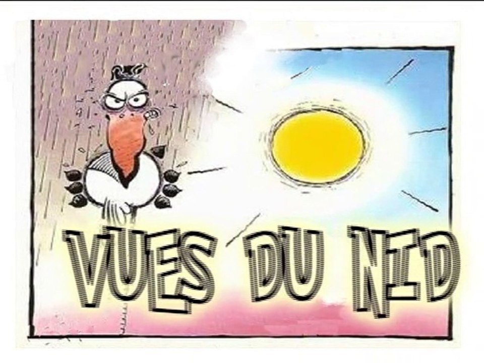 Vue Du Nid - Nid d'hirondelles