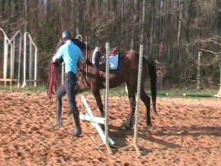 Débourrage Tara des Coupes