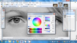 [paint.net] Coloriser une photo [tuto]