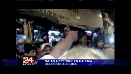 Cercado de Lima: dirigentes de mercado asesinaron siete perros