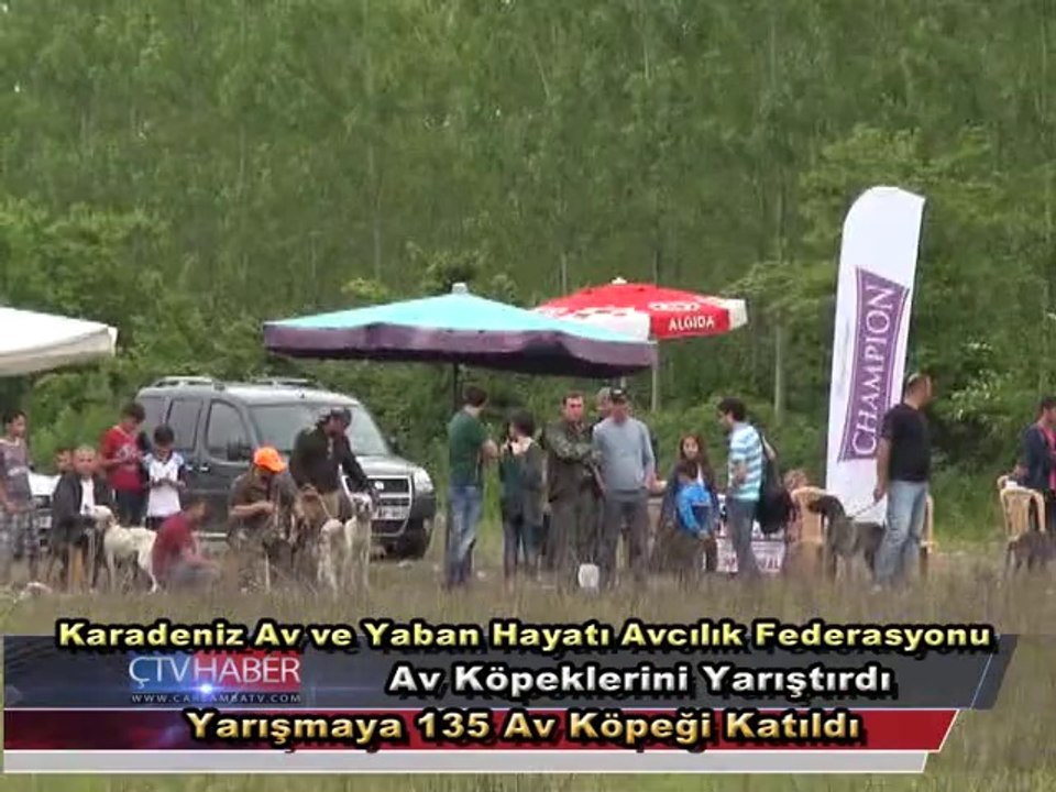 Çarşamba'da Bir İlk;Av Köpekleri Yarıştı