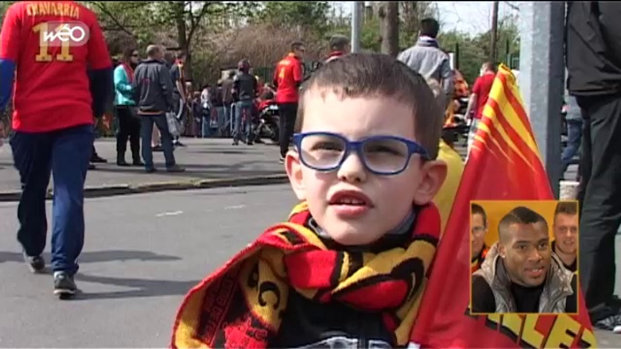 Sang et Or : c'est quoi un renard des surfaces ?