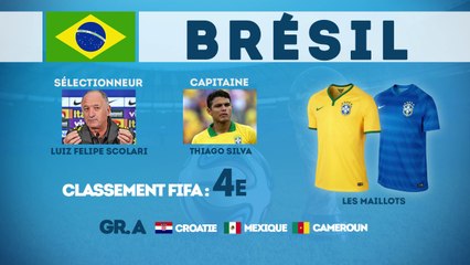 Coupe du Monde 2014 : focus sur le Brésil